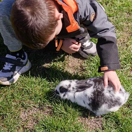 Dumalux Apartamento Subotica