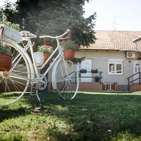 Dumalux Daire Subotica