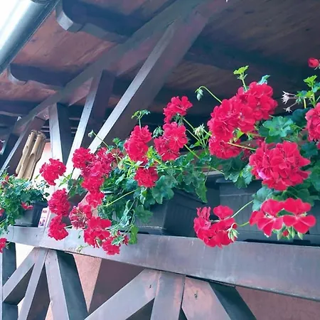 Apartamento Dumalux *