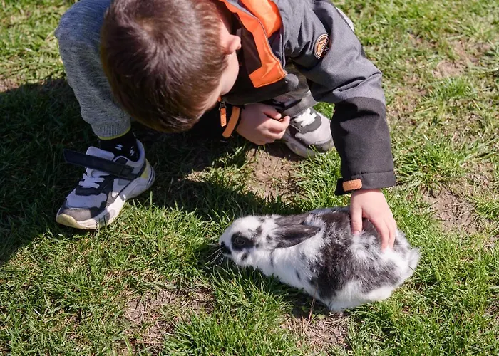 Dumalux Appartement Subotica
