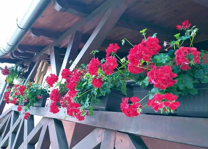 Appartement Dumalux *